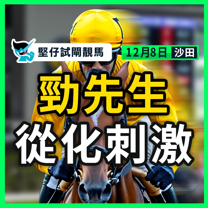 勁先生 從化刺激