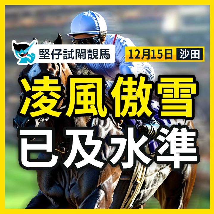 凌風傲雪 已及水準