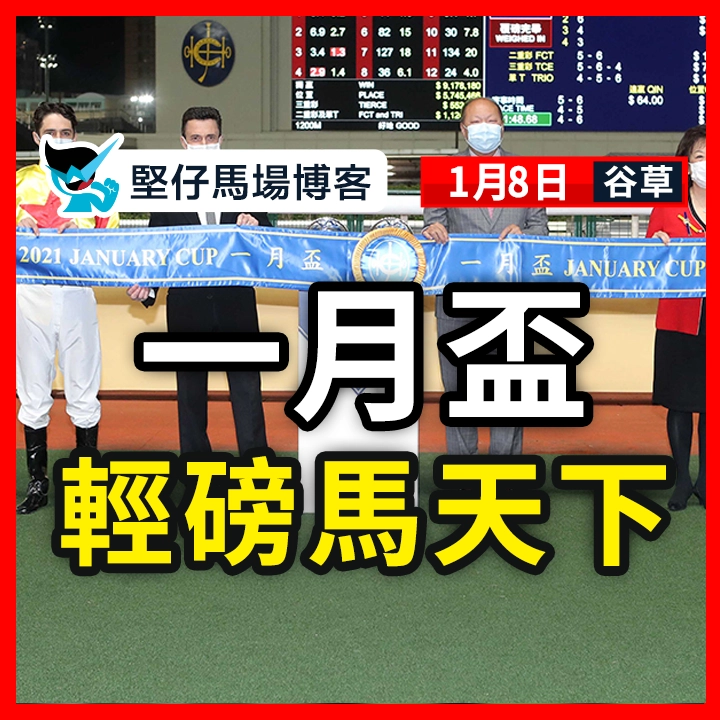 一月盃 輕磅馬天下