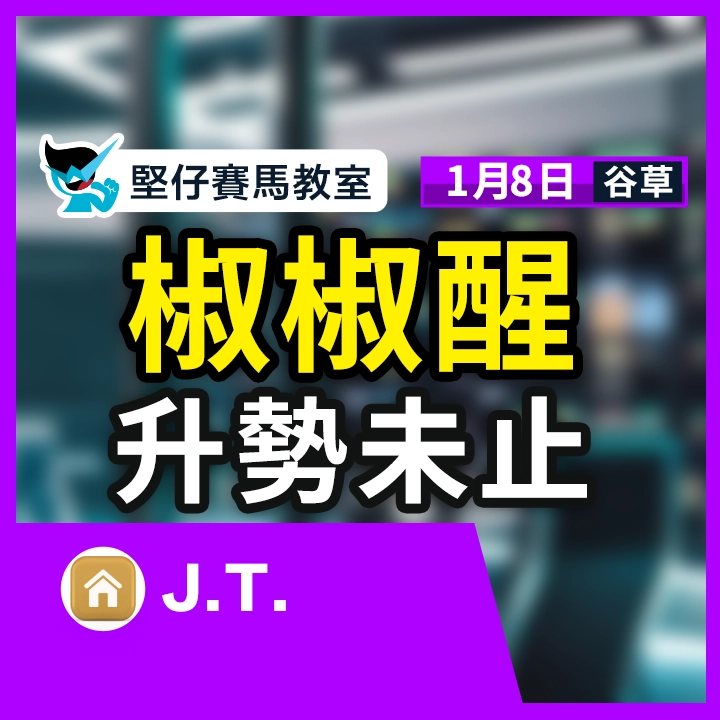 椒椒醒 升勢未止