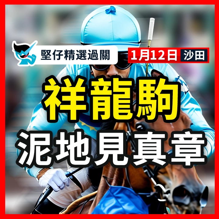 祥龍駒 泥地見真章