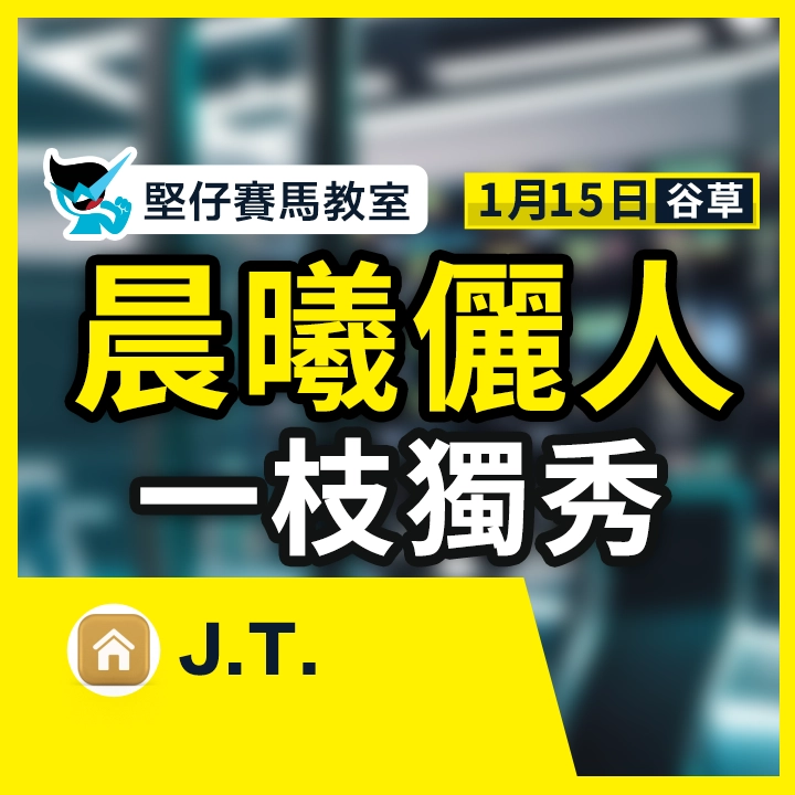 晨曦儷人 一枝獨秀