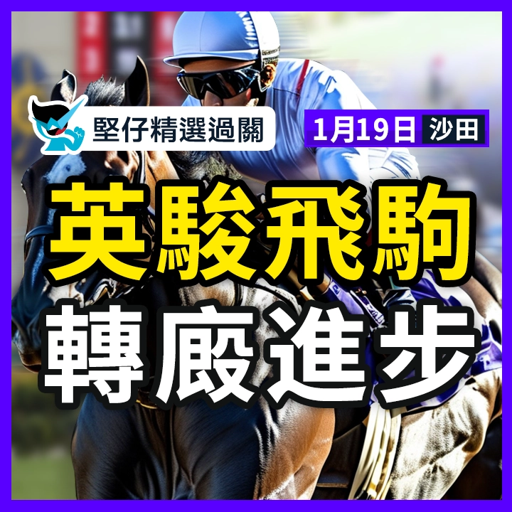 英駿飛駒 轉廄進步
