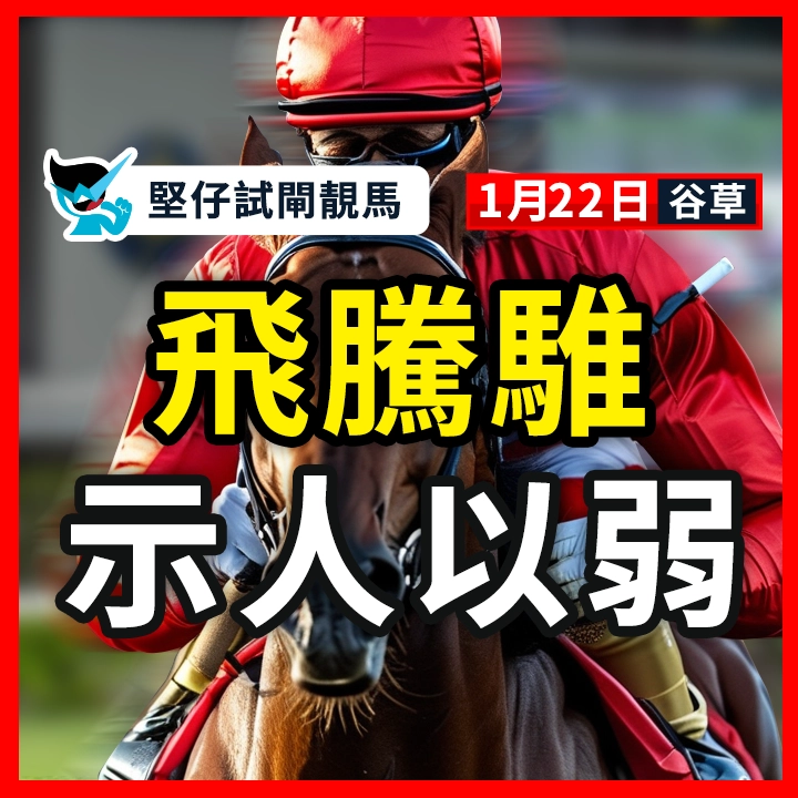 飛騰騅 示人以弱