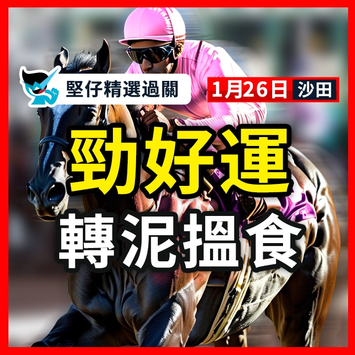 勁好運  轉泥搵食