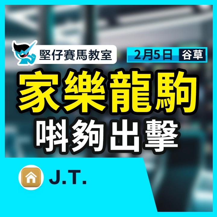 家樂龍駒 唞夠出擊