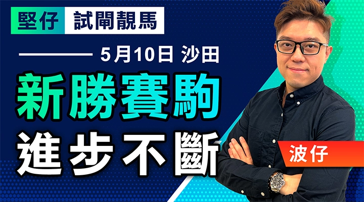 新勝賽駒，進步不斷