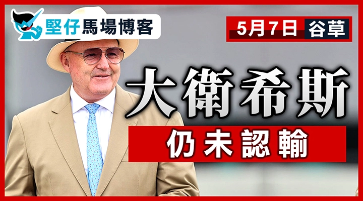 大衛希斯 仍未認輸