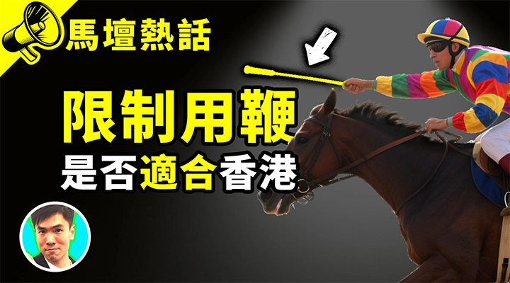 限制用鞭 是否適合香港
