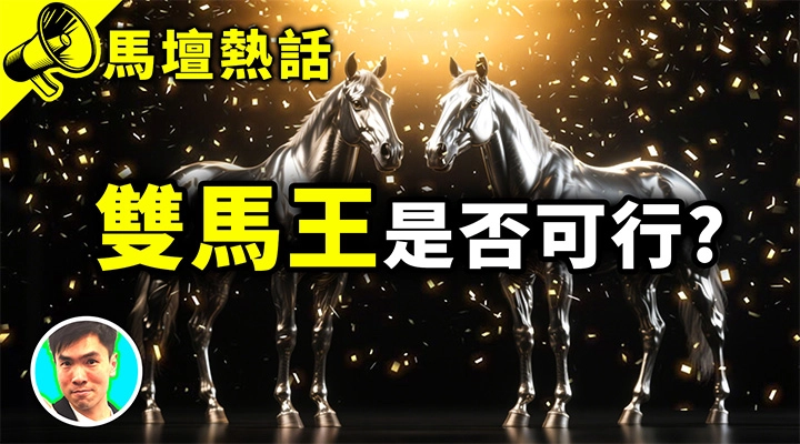 雙馬王是否可行?