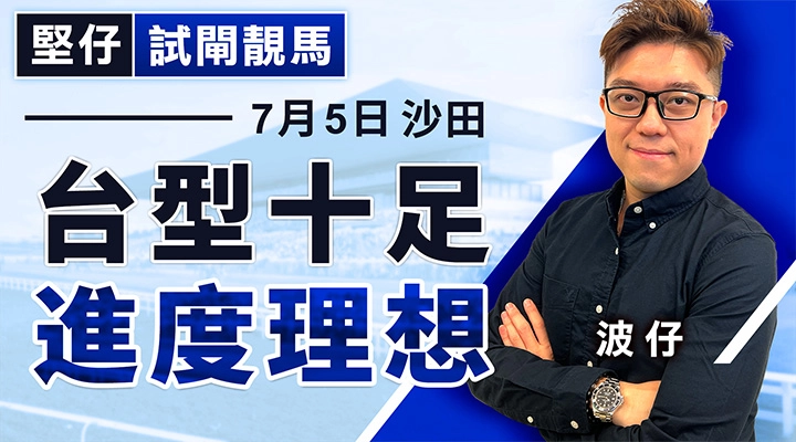 台型十足 進度理想