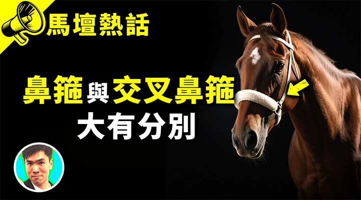 鼻箍與交叉鼻箍 大有分別