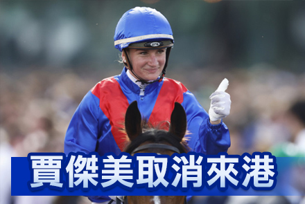 【堅仔話你知】賈傑美取消來港，打吡「喜旺駒」易配