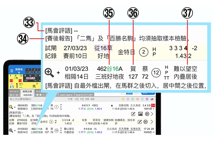 使用手冊第二章【馬匹詳情】33-37說明 