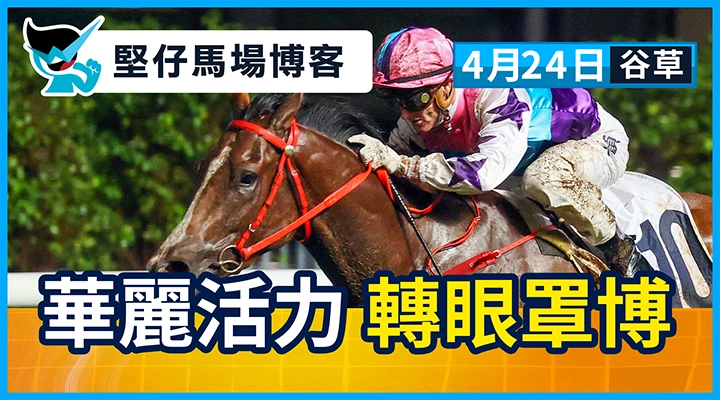 華麗活力 轉眼罩博