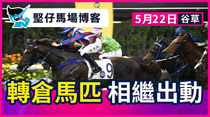 轉倉馬匹 相繼出動