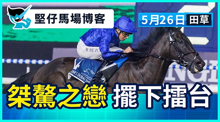 桀驁之戀 擺下擂台