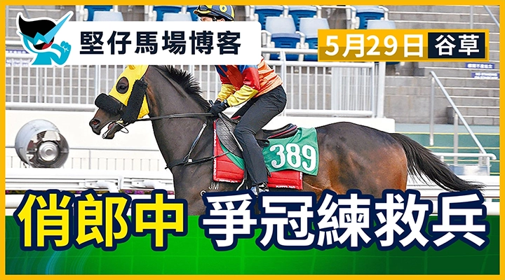 俏郎中 爭冠練救兵