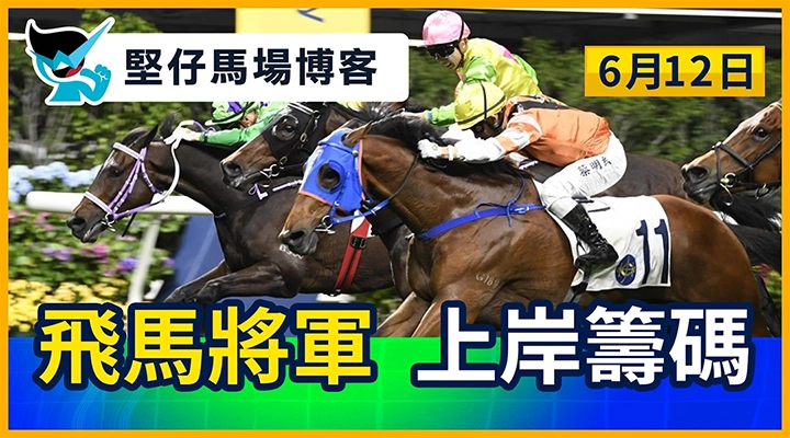 飛馬將軍 上岸籌碼