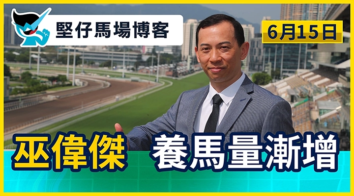 巫偉傑 養馬量漸增