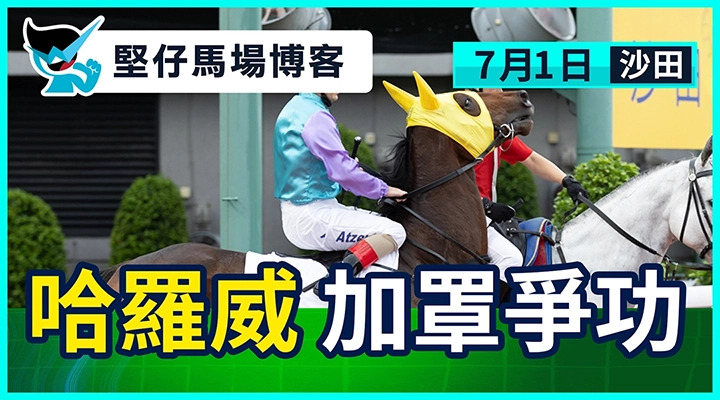 哈羅威 加罩爭功