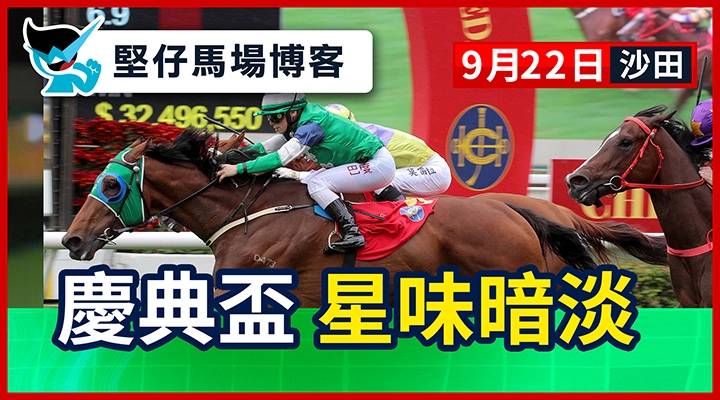 慶典盃 星味暗淡