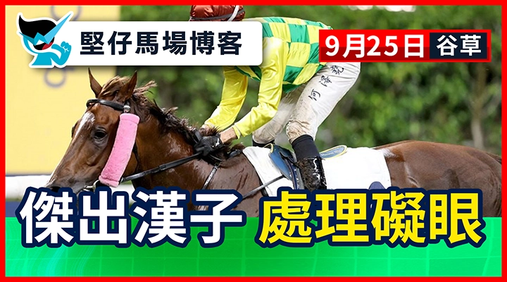 傑出漢子 處理礙眼