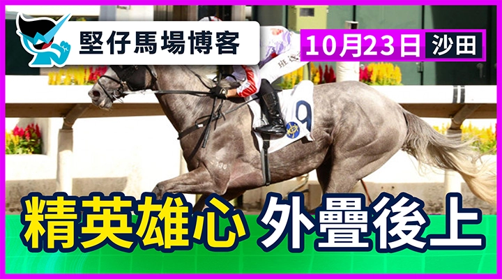 精英雄心 外疊後上