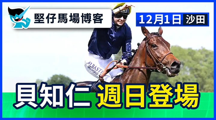 貝知仁 週日登場