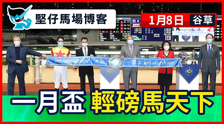 一月盃 輕磅馬天下