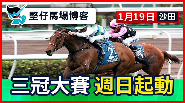 三冠大賽 週日起動