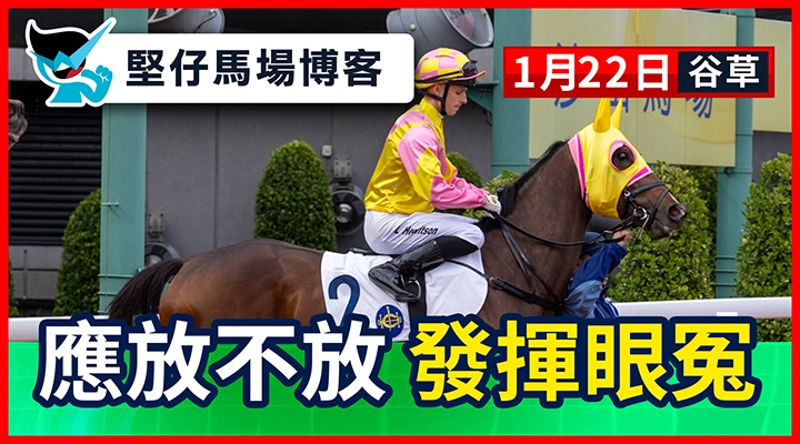 應放不放 發揮眼冤