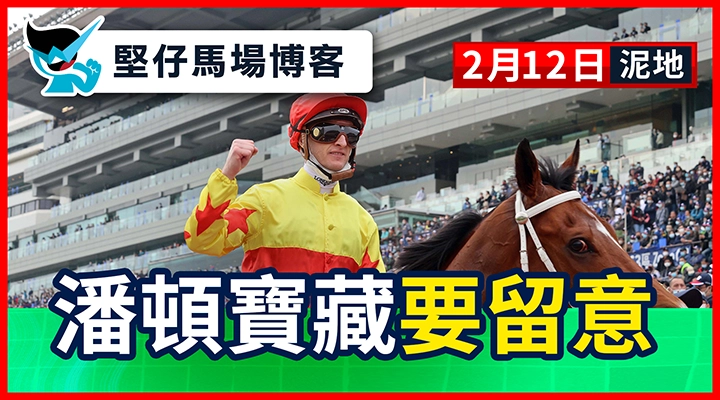 潘頓寶藏要留意