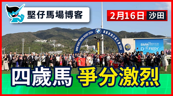 四歲馬 爭分激烈