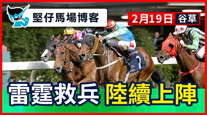 四歲馬 爭分激烈