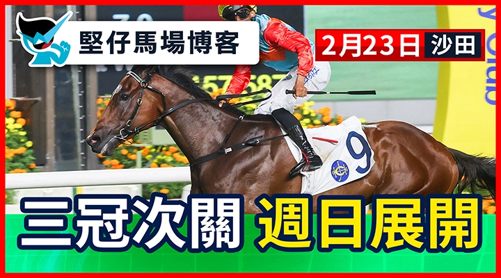 四三冠次關 週日展開