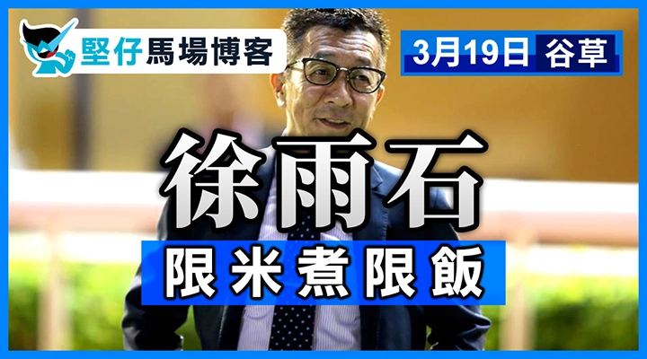 告東尼 谷草起革命