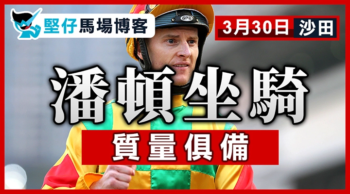 潘頓坐騎 質量俱備