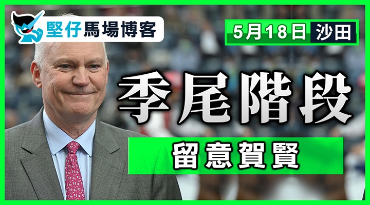 大衛希斯 仍未認輸