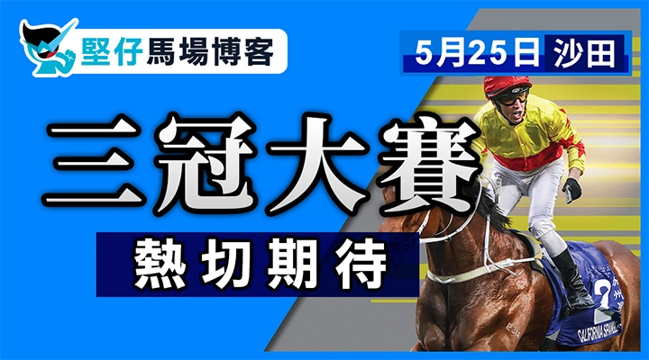 大衛希斯 仍未認輸