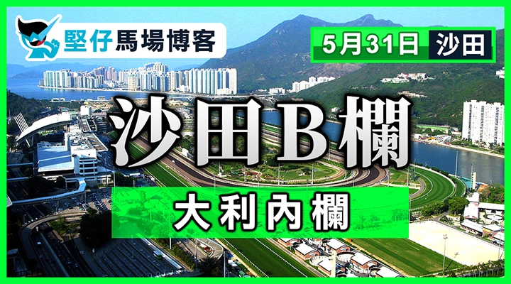 大衛希斯 仍未認輸
