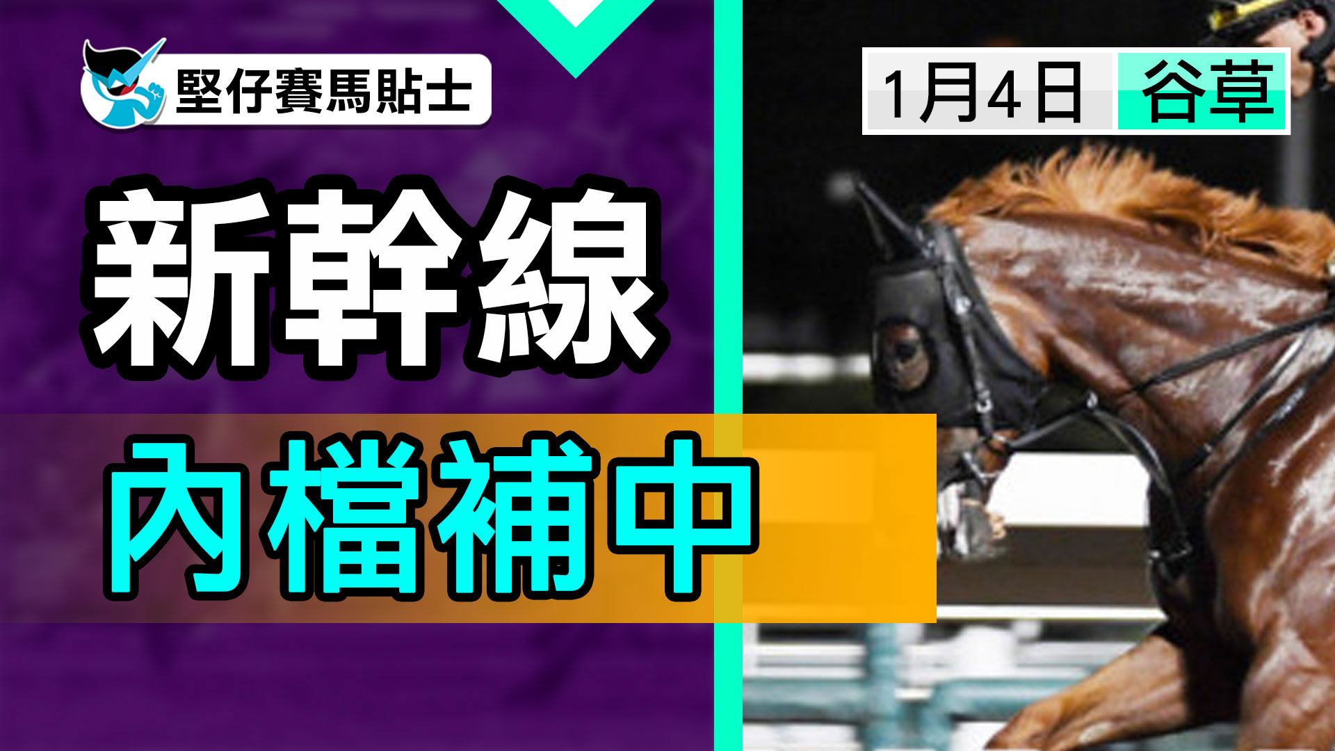 澳州幫缺陣  買田雞穩陣