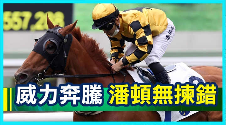 威力奔腾 潘顿无拣错