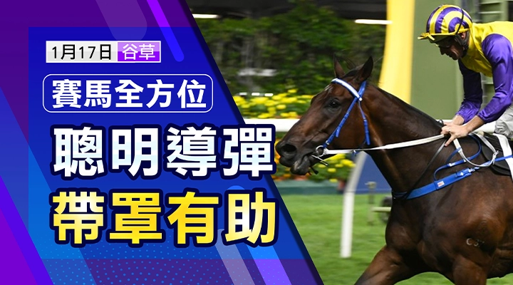 聰明導彈  帶罩有助