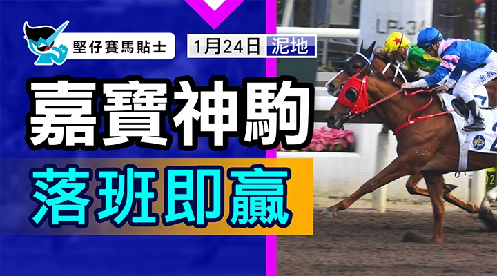 嘉寶神駒  落班即贏