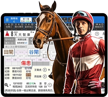 堅仔馬匹詳情 即知馬房部署