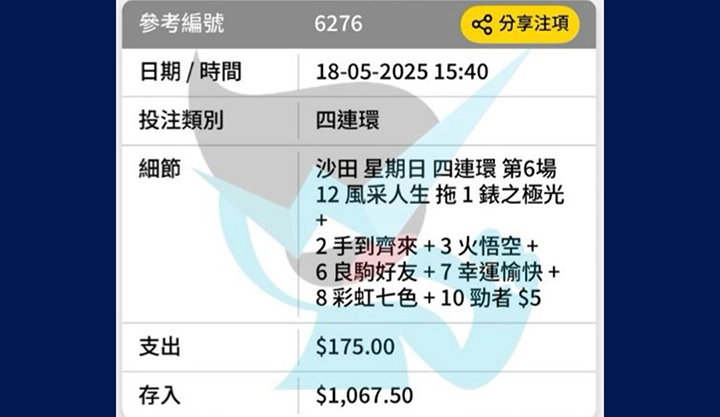 堅仔雲數據閘前來料