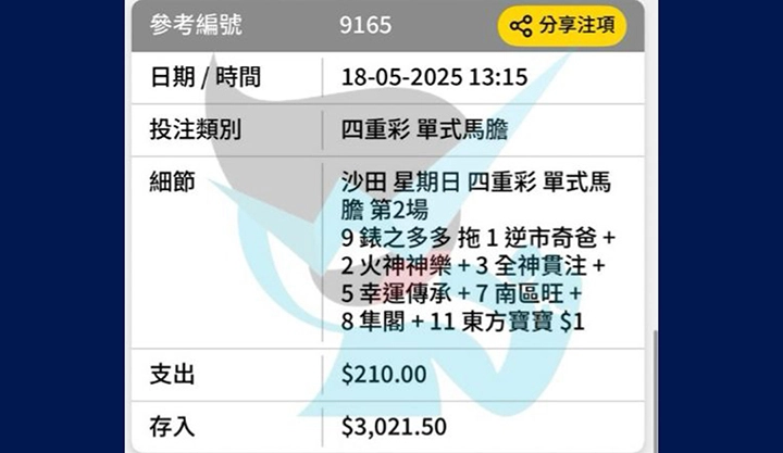 堅仔雲數據閘前來料