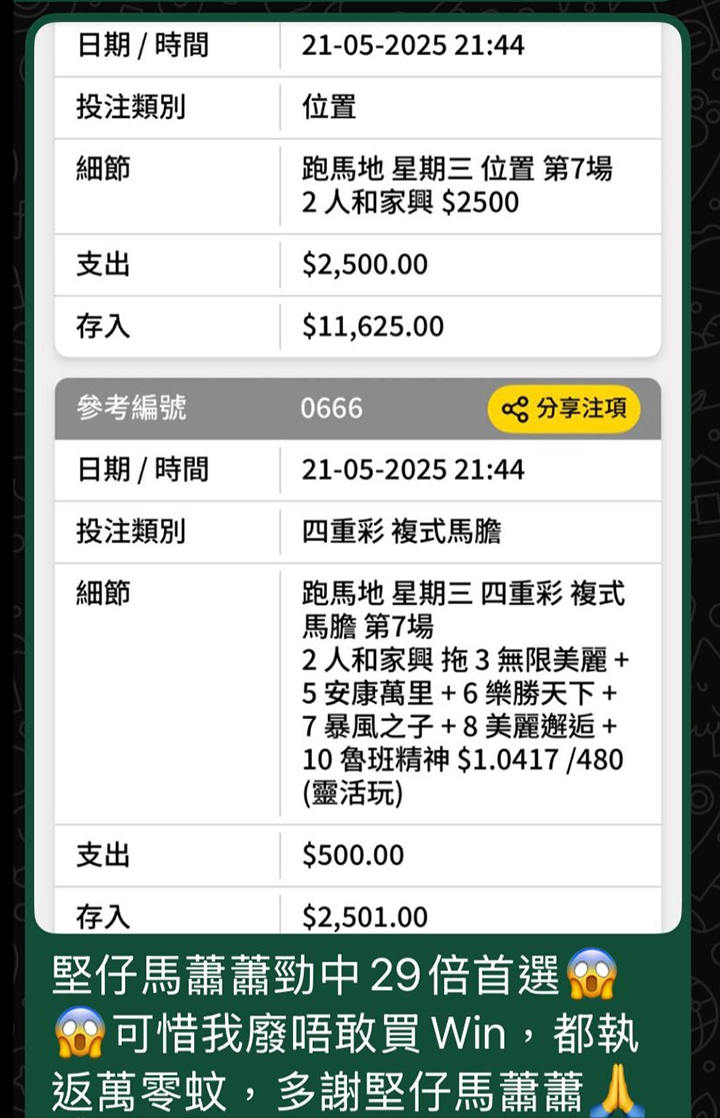 堅仔ＡＩ賽馬貼士